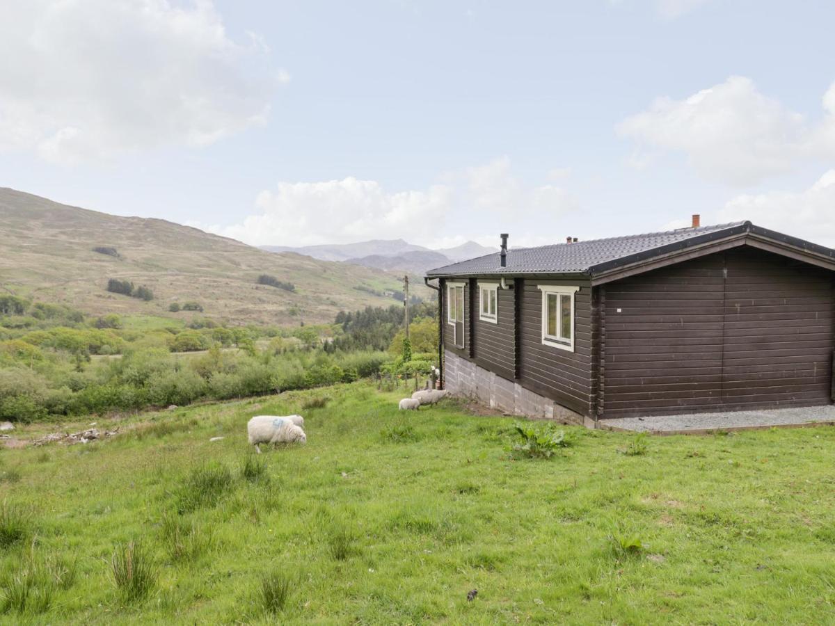 Вилла Snowdon Vista Cabin Карнарвон Экстерьер фото