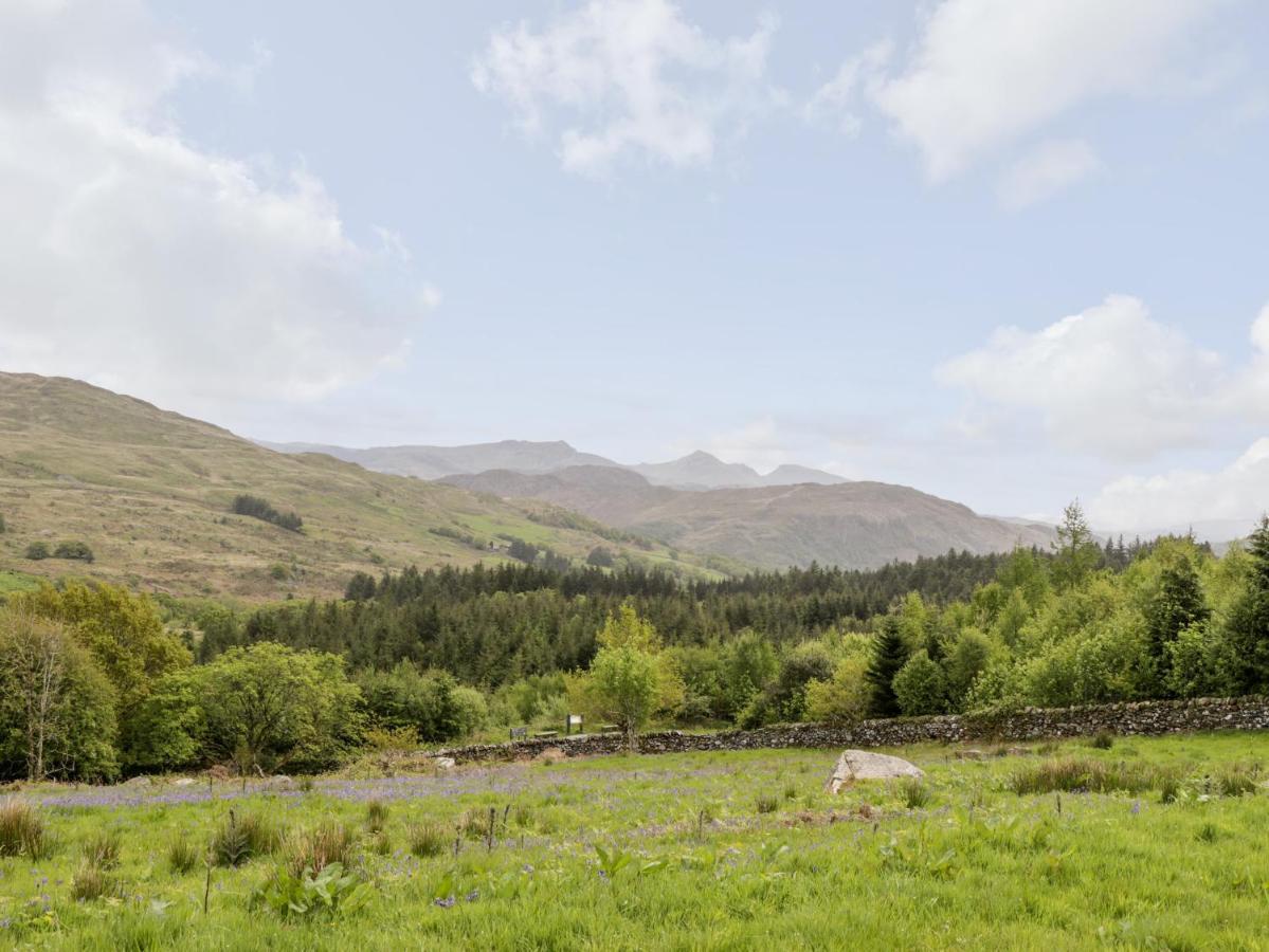 Вилла Snowdon Vista Cabin Карнарвон Экстерьер фото